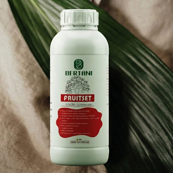 فروت ست فروت ست